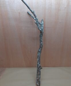 Large Cork Branch - 80-110cm - 18