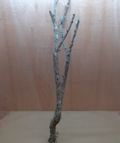 Large Cork Branch - 80-110cm - 21