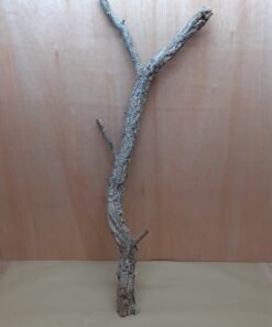 Large Cork Branch - 80-110cm - 5