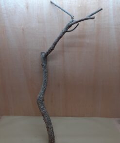 Large Cork Branch - 80-110cm - 14