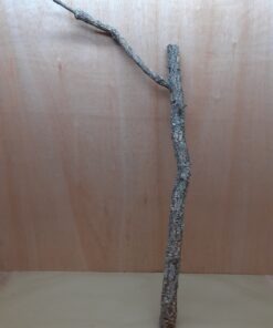 Large Cork Branch - 80-110cm - 6