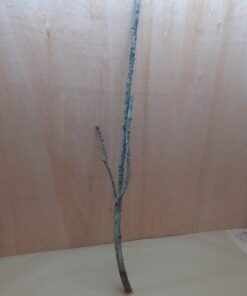 Large Cork Branch - 80-110cm - 16