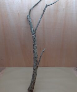 Large Cork Branch - 80-110cm - 22