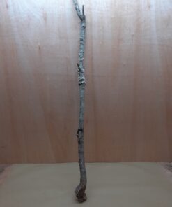 Large Cork Branch - 80-110cm - 1