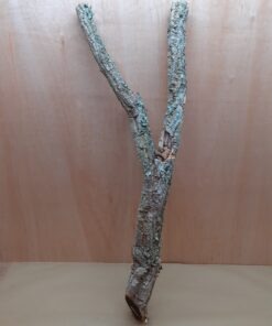 Large Cork Branch - 80-110cm - 4