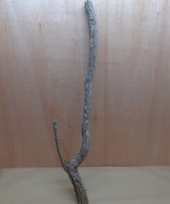 Large Cork Branch - 80-110cm - 19