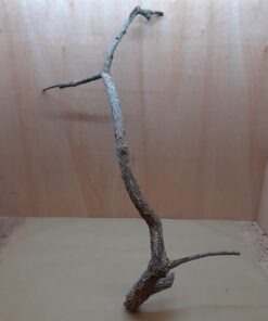 Large Cork Branch - 80-110cm - 24