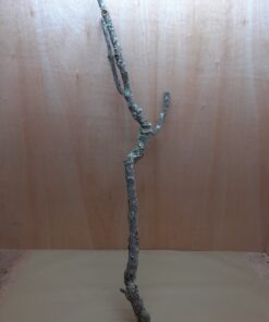 Large Cork Branch - 80-110cm - 25