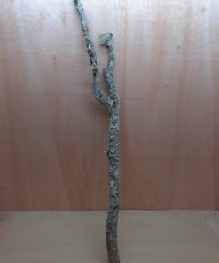 Large Cork Branch - 80-110cm - 26