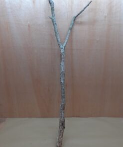 Large Cork Branch - 80-110cm - 27