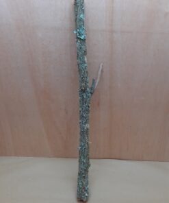 Medium Cork Branch - 40-80cm - 24