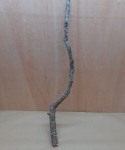 Medium Cork Branch - 40-80cm - 21