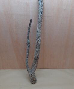 Medium Cork Branch - 40-80cm - 27