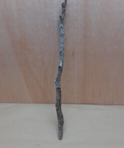 Medium Cork Branch - 40-80cm - 25
