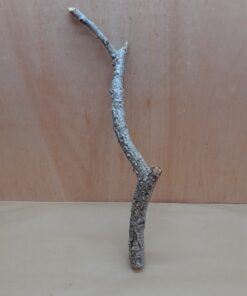 Medium Cork Branch - 40-80cm - 26