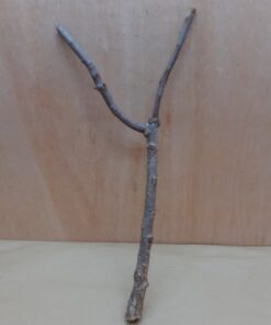 Medium Cork Branch - 40-80cm - 17