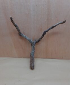 Medium Cork Branch - 40-80cm - 5