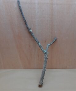 Medium Cork Branch - 40-80cm - 14