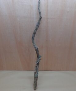 Medium Cork Branch - 40-80cm - 10