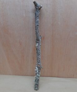 Medium Cork Branch - 40-80cm - 8