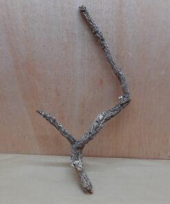 Medium Cork Branch - 40-80cm - 30