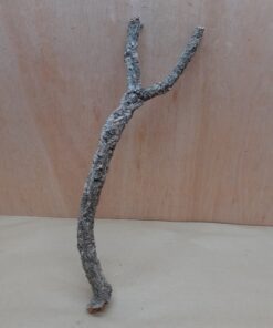 Medium Cork Branch - 40-80cm - 6