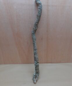 Medium Cork Branch - 40-80cm - 3