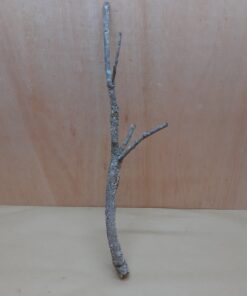 Medium Cork Branch - 40-80cm - 19