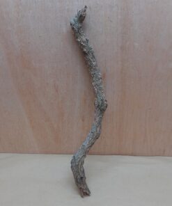 Medium Cork Branch - 40-80cm - 19