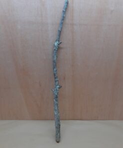 Medium Cork Branch - 40-80cm - 7