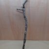 Medium Cork Branch - 40-80cm - 1