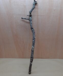 Medium Cork Branch - 40-80cm - 1