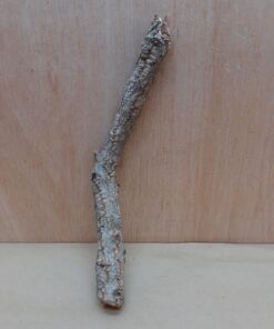 Small Cork Branch - Upto 40cm - 29