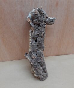 Small Cork Branch - Upto 40cm - 10
