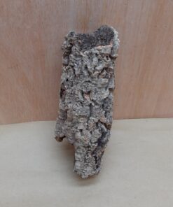 Small Cork Branch - Upto 40cm - 6