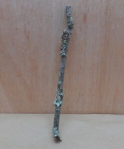 Small Cork Branch - Upto 40cm - 13