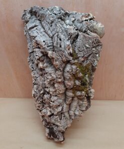 Large Cork Flat 11