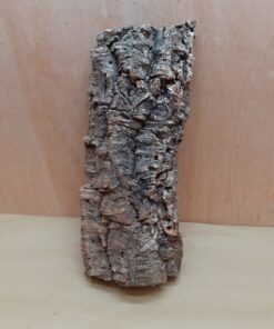 Large Cork Flat 16