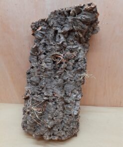Large Cork Flat 19