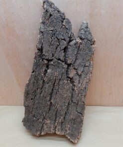 Large Cork Flat 2