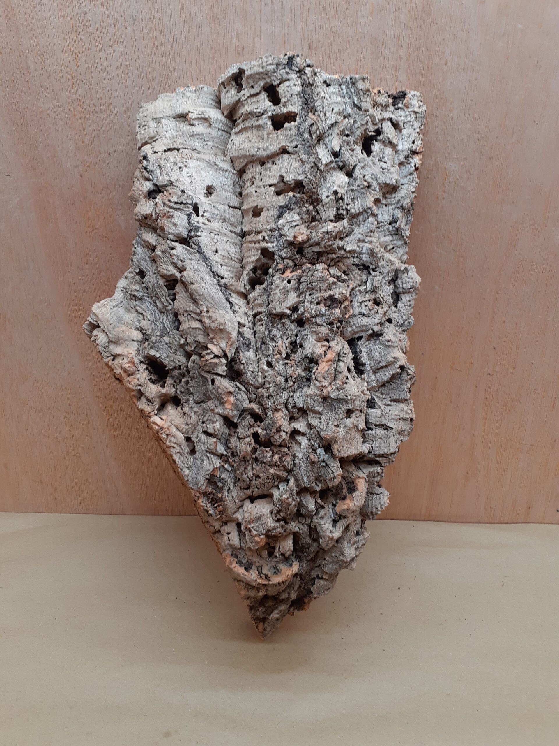 Large Cork Flat 9