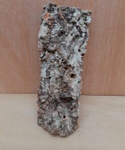 Medium Cork Flat 1