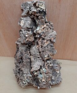Medium Cork Flat 10