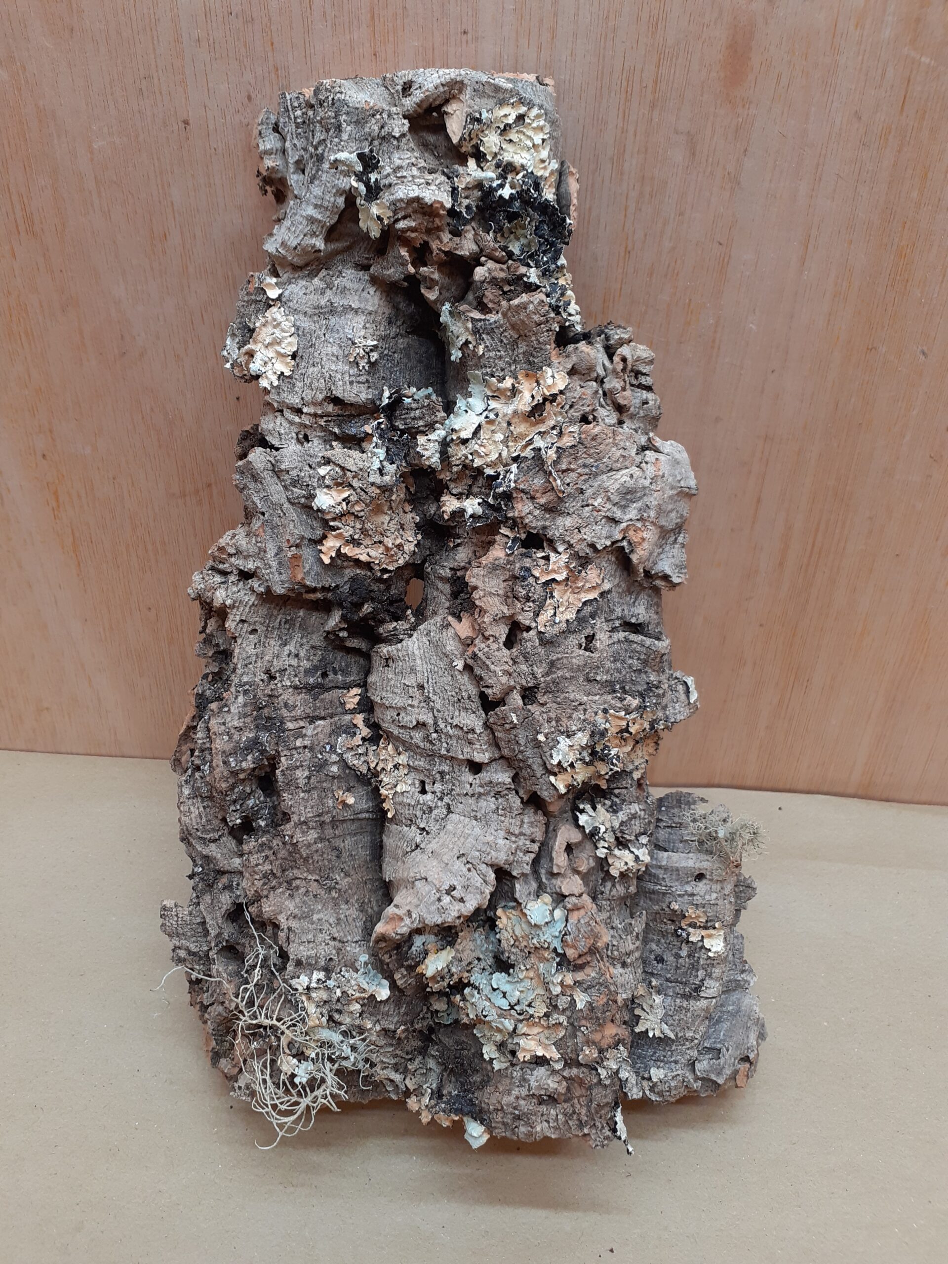 Medium Cork Flat 10