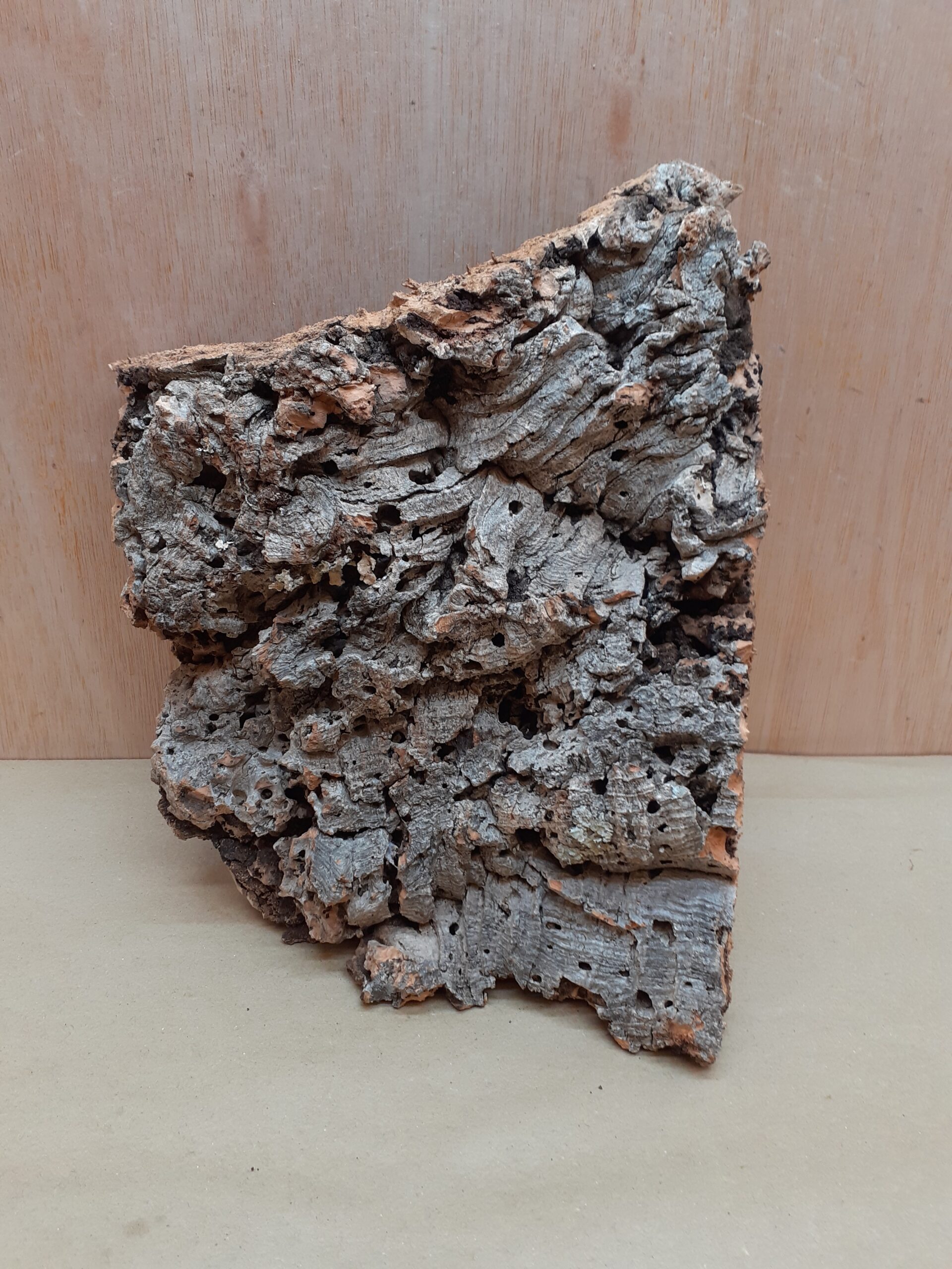 Medium Cork Flat 11