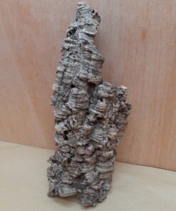 Medium Cork Flat 12
