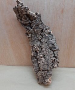 Medium Cork Flat 15