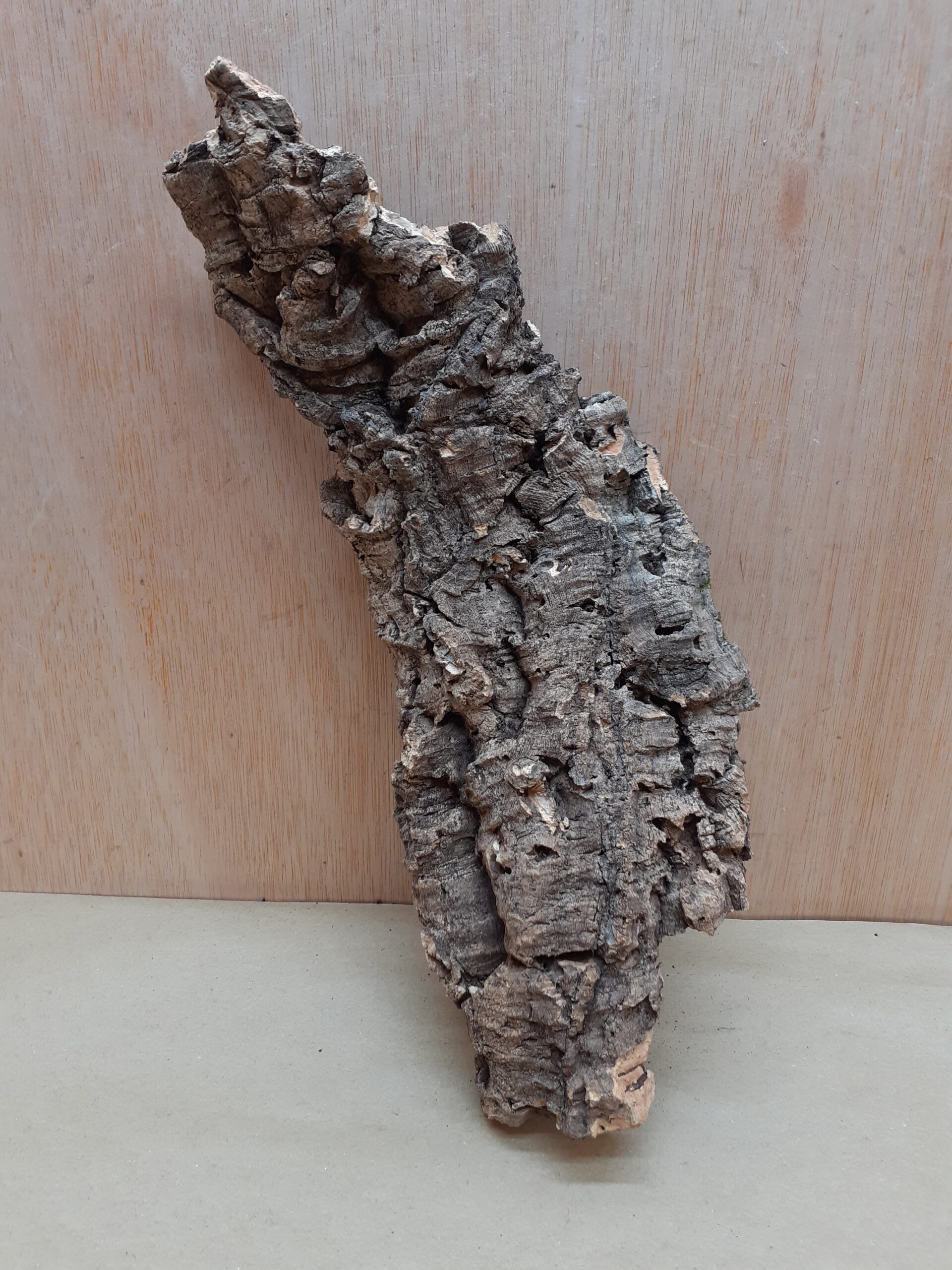 Medium Cork Flat 15