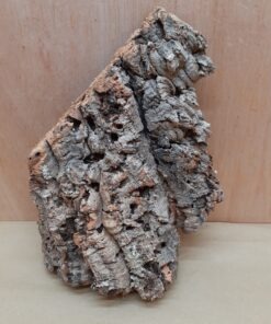 Medium Cork Flat 20