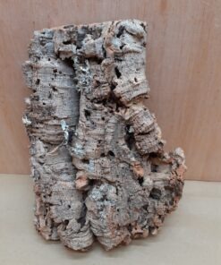 Medium Cork Flat 21